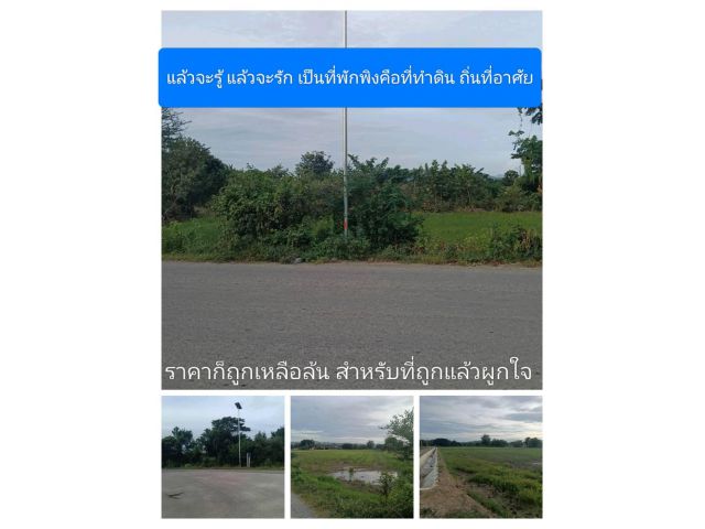 ลดราคาสุดโหดเสมือนกับโกรธใครมา กล้าดียังงัยถึงได้ขายราคานี้ถูกหมดจดให้หมดไม่ไว้หน้า เท่าที่ปรากฏหมดแล้วอดเลย แปลงที่ชอบ