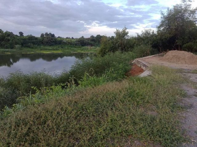 L1093 ขายที่ดินติดแม่น้ำแม่กลอง 83 ตรว ท่าม่วง กาญจนบุรี