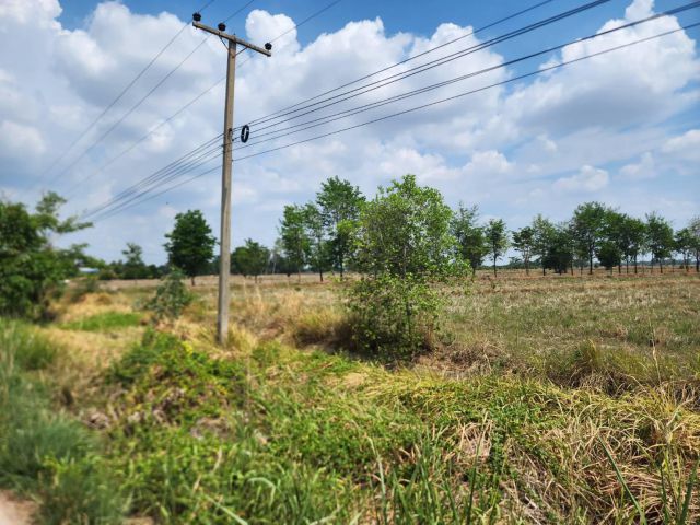 L1095 ขายที่ดินสวยทำเลดี 5 ไร่ หน้ากว้าง 77 เมตร วังทอง พิษณุโลก