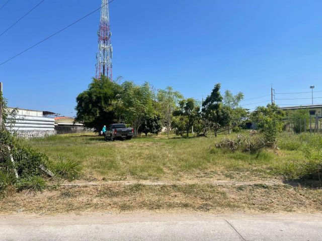 L1099 ขายที่ดินสวยทำเลดี 1 ไร่ เมืองชลบุรี