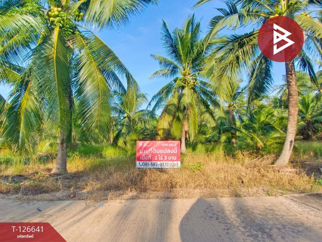 ขายที่ดินเปล่า เนื้อที่ 2 ไร่ 3 งาน นางตะเคียน สมุทรสงคราม