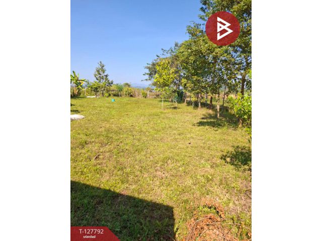 ขายที่ดิน เนื้อที่ 2 งาน 84.1 ตร.วา สันทราย เชียงราย