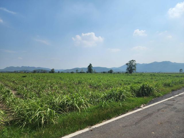 L1100 ขายที่ดินวิวภูเขา 55 ไร่ แก่งคอย สระบุรี