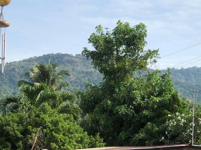 L1103 ขายที่ดินทำเลดี 292 ตรว บ้านบึง ชลบุรี