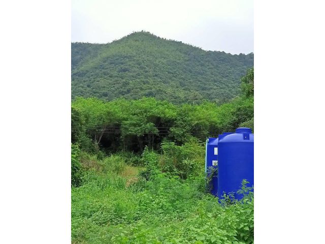 L1104 ขายที่ดินวิวภูเขา 2 ไร่ แก่งกระจาน เพชรบุรี