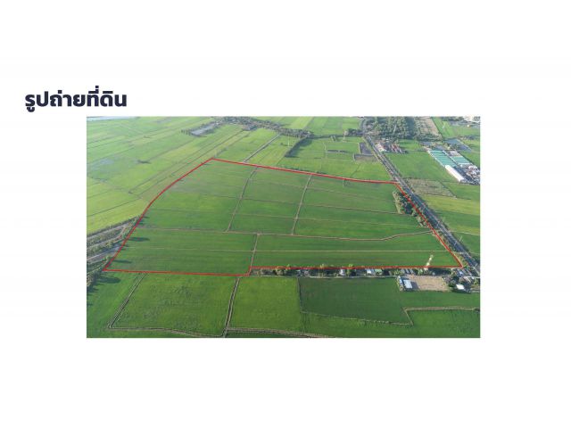 ขายที่ดินสวยติดถนนบางน้ำเปรี้ยว จังหวัดฉะเชิงเทรา 233 ไร่ (กม.11)