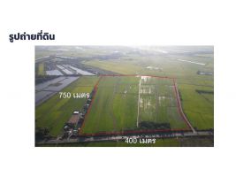 ขายที่ดินสวยติดถนนบางน้ำเปรี้ยว จังหวัดฉะเชิงเทรา 233 ไร่ (กม.11)