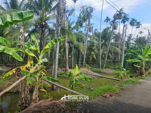 ที่ดินตำบลท่าตลาด อำเภอสามพราน นครปฐม เนื้อที่ 846 ตารางวา