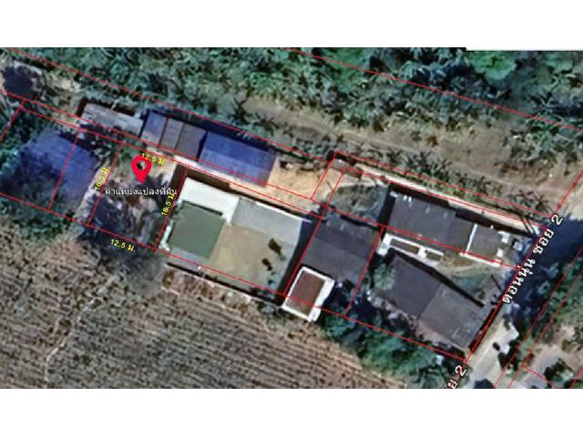 ขายที่ดิน ดอนนุ่น ซอย 2 ตำบลบึง อำเภอศรีราชา เนื้อที่ 50 ตารางวา