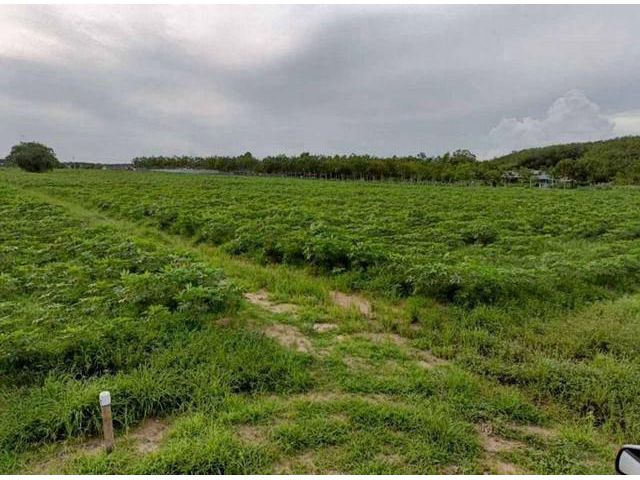 ขายที่ดิน 24ไร่ ที่ดิน สำหรับอุตสาหกรรม นิคมพัฒนา ระยอง (ผังสีม่ว