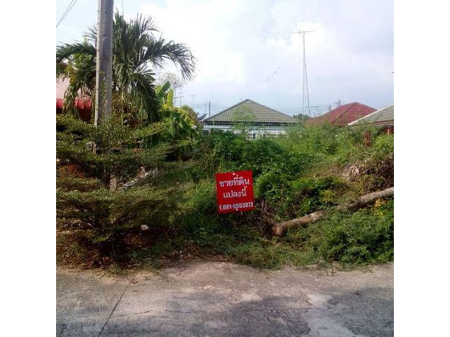 ขายที่ดิน 50 ตร.วา ภายในหมู่บ้านนฤมิตร 2 อ.เมืองฉะเชิงเทรา