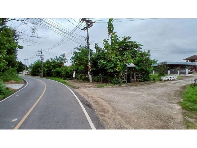 ให้เช่าที่ดิน หางดง หารแก้ว เชียงใหม่