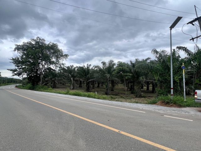 ขายที่ดินโฉนดเนื้อที่​18ไร่1งาน38ตารางวา ติดถนน2ด้าน หน้าติดถนน4082กว้าง150เมตร  ด้านข้างติดถนนคอนกรีต240เมตร