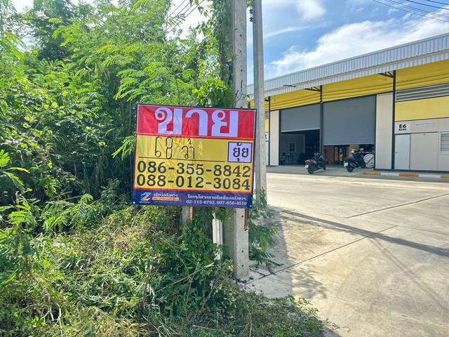 ขายที่ดิน 68 วา  ซอยแจ้งวัฒนะ-ปากเกร็ด 38  บางตลาด  ปากเกร็ด นนทบ