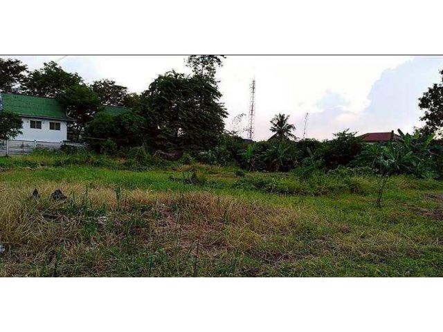 ขายที่ดิน 401 ตร.ว. ซอยสวนผัก 48 ตลิ่งชัน กรุงเทพ