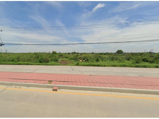 ขายที่ดินอยุธยา 3 แปลง 77 ไร่ อ.ลาดบัวหลวง ติดถนน