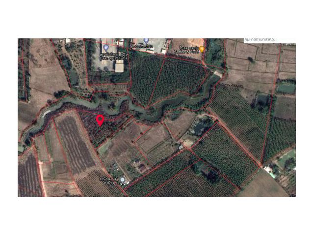 ขายที่สวย 2 ไร่ 3 งาน 83.ว ติดคลองสาธารณะ  เจ้าของขายเอง