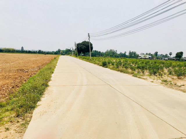 ขายที่ดิน 14 ไร่ ต.หนองเหียง อ.พนัสนิคม จ.ชลบุรี