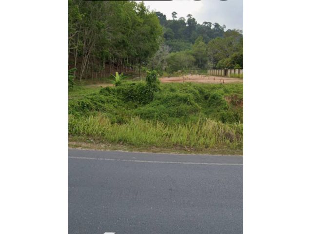 ขายที่ดินโซนสาคู พื้นที่สีเหลือง 11ไร่ สร้างคอนโด รีสอร์ท โรงแรม