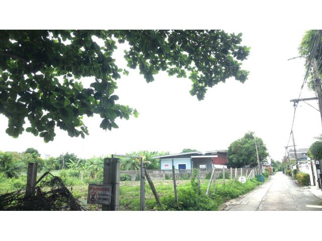 ที่ดินบางเขน ที่ดินซอยมัยลาภ 179 วา เข้าจากถนนใหญ่เพียง 400 เมตร ใกล้สถานีรถไฟฟ้าสายสีชมพูสถานีมัยลาภ