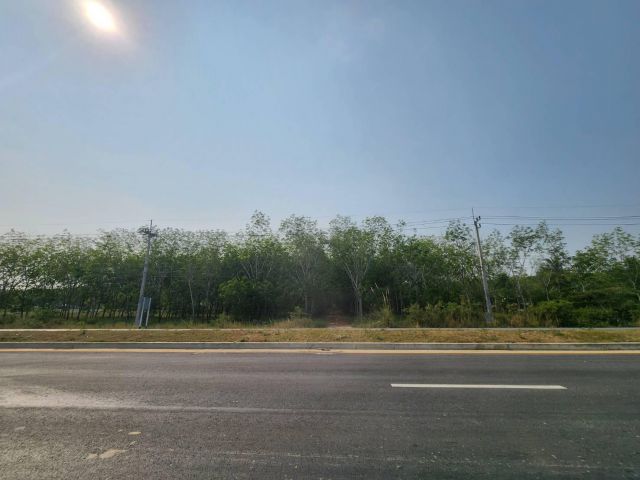 ขายที่ดิน 50 ไร่ ติดถนนหนองใหญ่-ปลวกแดง ใกล้นิคม WHA ต.หนองเสือช้าง อ.หนองใหญ่ จ.ชลบุรี