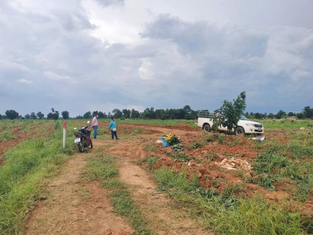 ขายที่ดินหนองหญ้าขาว ต.ปักธงชัยเหนือ อ.ปักธงชัย นครราชสีมา ขนาด 3-3-41 ไร่ เหมาะทำบ้านสวน ดินดี น้ำดี เช่นทุเรียน ฝรั่ง