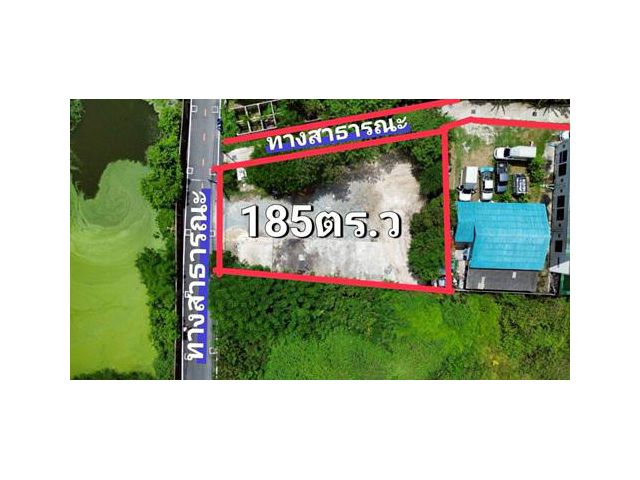 ขายที่ดินใกล้สุขุมวิทชลบุรี 185ตร.ว.ติดถนน2ด้าน แปลงมุมขายถูก