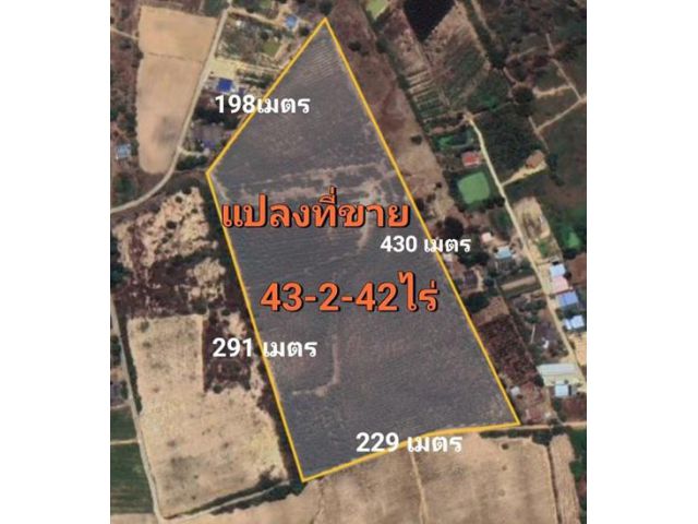 ขายที่ดินใกล้ถนน331เพียง500เมตร ที่ดินขนาด43ไร่2งาน20ตร.ว. ขายถูกหน้ากว้าง ผังสีเหลืองอ่อน