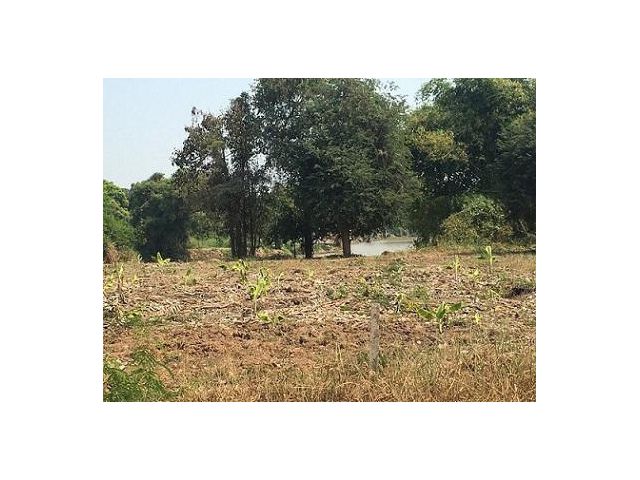 ขายที่ดินติดริมแม่น้ำท่าจีน 742 ตรว.