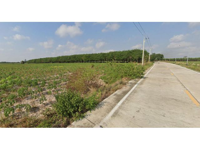 ขายที่ดิน 52 ไร่ ใกล้ถนน 331 ต.หนองปรือ อ.พนัสนิคม จ.ชลบุรี