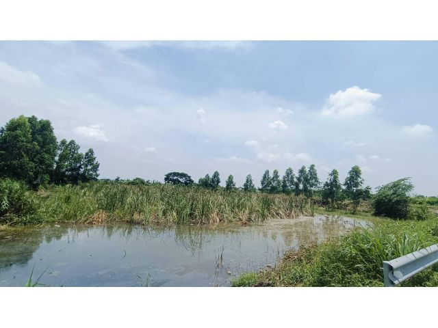 ขายที่4ไร่3งาน99วา ทำเลดี ติดถนนใหญ่ตัดใหม่ อ.เมืองปทุม