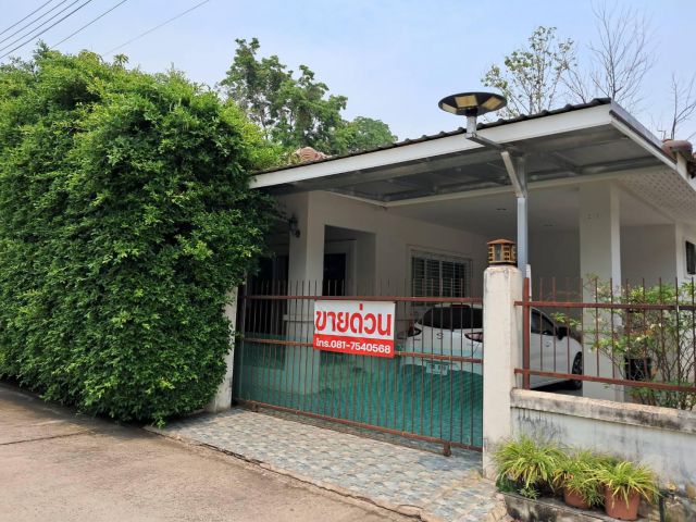 ขายบ้านเดี่ยว ชั้นเดียว เนื้อที่ 61.6 ตร.ว. สภาพดี ใกล้โรงเรียนปทุมเทพ ต.โพธิ์ชัย อ.เมือง จ.หนองคาย โทร.065-7151731