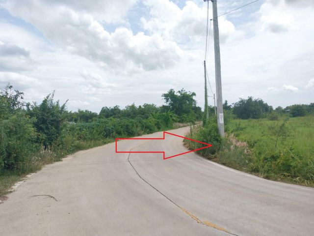 ขายที่ดินด่วน