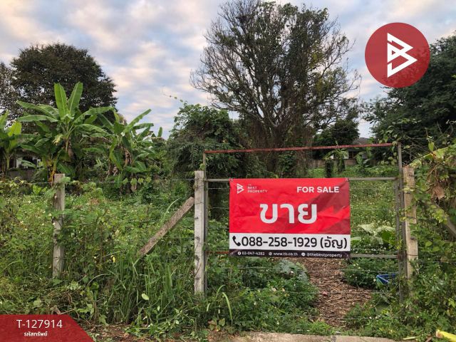 ขายที่ดิน เนื้อที่ 3 งาน 66 ตร.วา ป่าอ้อดอนชัย เชียงราย