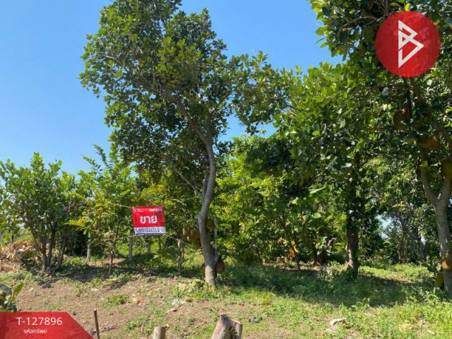 ขายที่ดินสวนผลไม้ เนื้อที่ 2 งาน อ.ท่าเรือ พระนครศรีอยุธยา