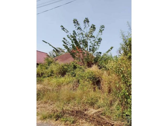 ขายถูก ที่ดิน+บ้านยังสร้างไม่เสร็จ พื้นที่ 64.10 ตรว. หมู่บ้านกรีน วัลเล่ย์ ลากูน นครนายก