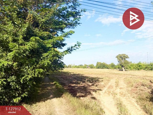 ขายที่ดิน เนื้อที่ 4 ไร่ 3 งาน 10 ตร.วา นาดี สุรินทร์