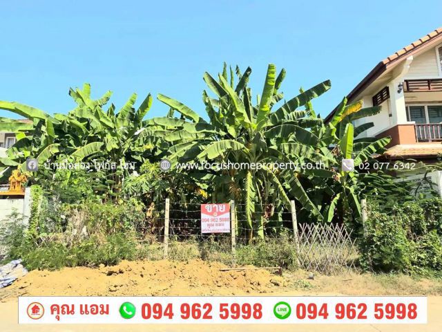 ขาย ที่ดิน 51.5 ตร.วา ซ.กำแพงเพชร 6 หลักสี่