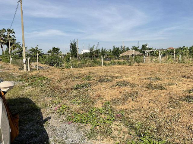 ขายที่ดิน 105 ตรว. อ.กำแพงแสน ซอย รร การบิน