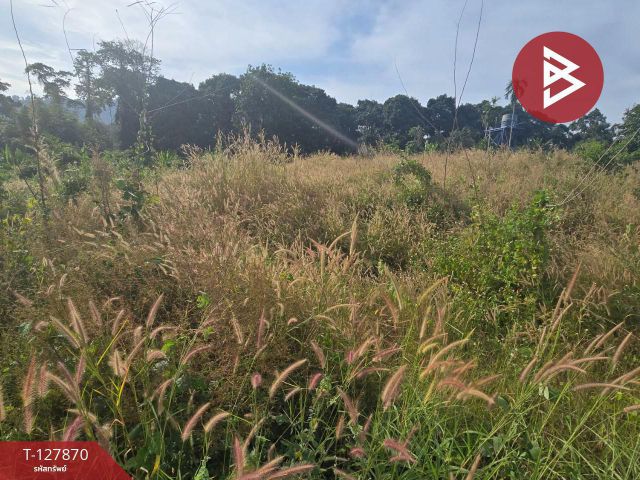 ขายที่ดินเปล่า 2 ไร่ 37 ตารางวา ต.เขาบายศรี อ.ท่าใหม่ จันทบุรี ราคาถูก