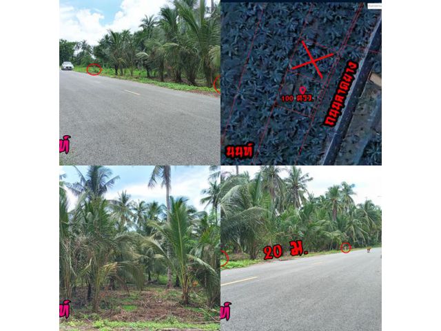 เนื้อที่ 100 ตารางวา ราคา 618,000 บาท ค้าขายได้ ติดถนนลาดยาง 20 ม. ถนนกว้าง 6 ม.