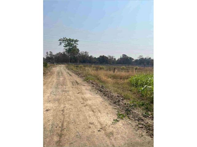 ขายที่ดิน 15 ไร่ ทำเลดี ติดกองบิน 4 ตาคลี เข้า ออกสะดวก น้ำไม่ท่วม