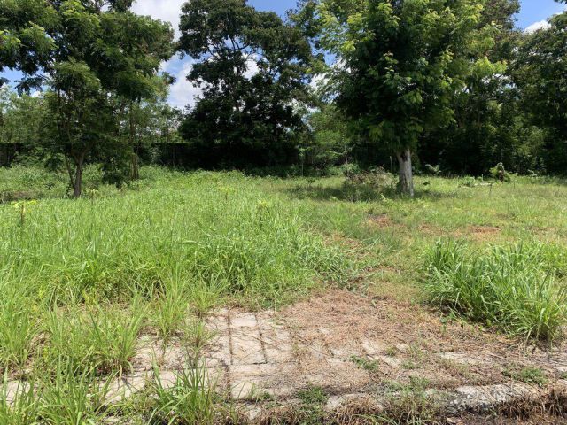 ขายที่ดินเปล่า 169.9 ตร.ว. โครงการวิจิตรธานี บางปะกง – ทำเลทอง ใกล้ถนนบางนา–ตราด