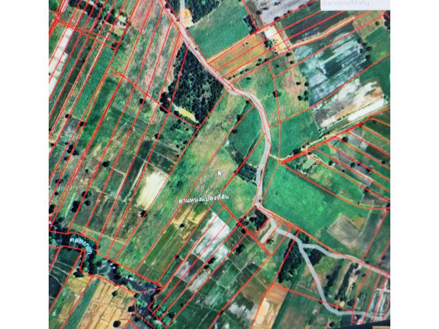 ขายที่ดิน 16 ไร่ 1 งาน ต.นากอก อ.ศรีบุญเรือง จ.หนองบัวลำภู