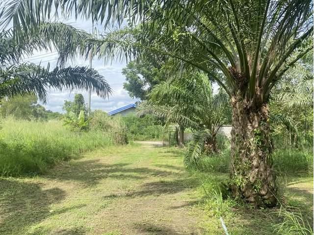 ขายที่ดินสวยอำเภอทับใต้หัวหินจังหวัดประจวบฯ 24 ไร่ 1งาน 73 ตาราง