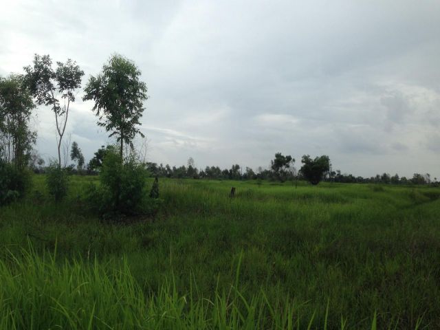 ขายที่ดิน อำเภอองครักษ์ นครนายก – 2 ไร่ 20 ตร.วา หลังตลาดองครักษ์ – เข้า–ออกได้หลายทาง – ใกล้ มศว.องครักษ์