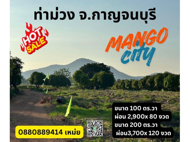 ที่ดิน ท่าม่วง หนองตากยา กาญจนบุรี