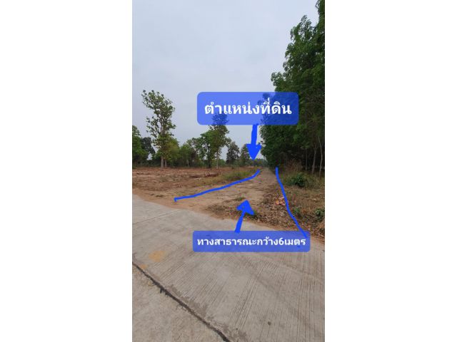 ขายที่ดินกาฬสินธุ์ อ.กุฉินารายณ์ ท้ายหมู่บ้านแจนแลน ที่ดินโฉนดครุฑแดง5ไร่ ราคา5แสนบาท เฉลี่ยไร่ละแสน