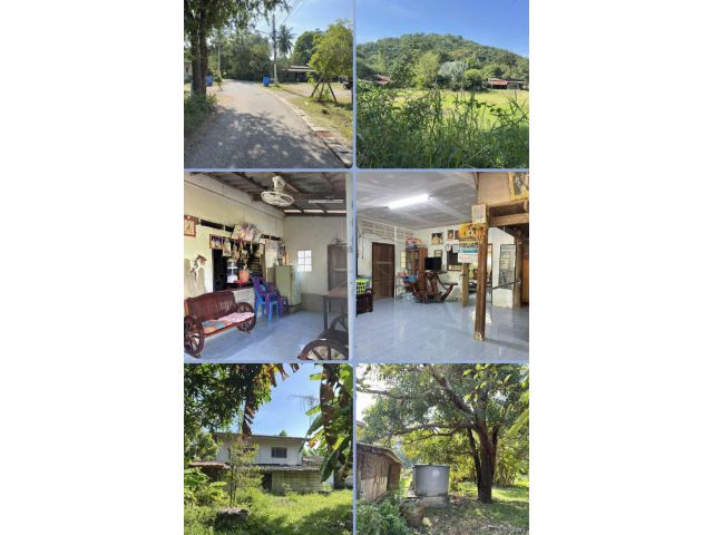 บ้านพร้อมที่ดิน