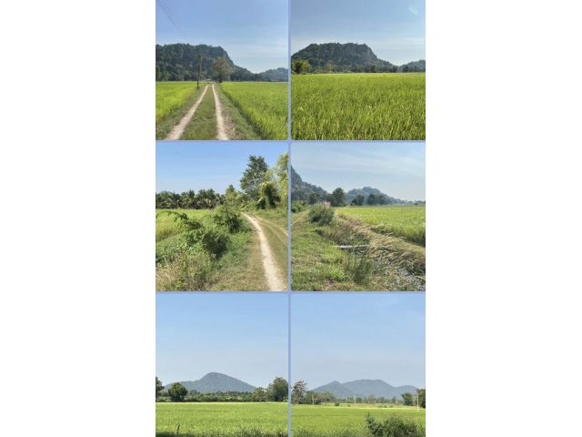 ที่นาวิวเขา